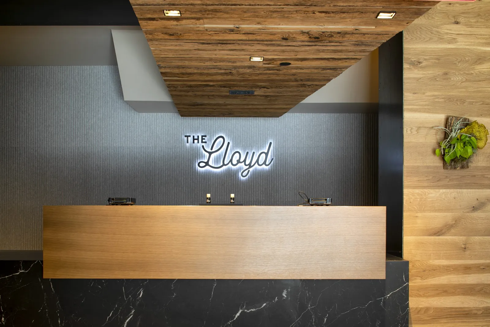 The Lloyd Stamford, Tapestry Collection by Hilton