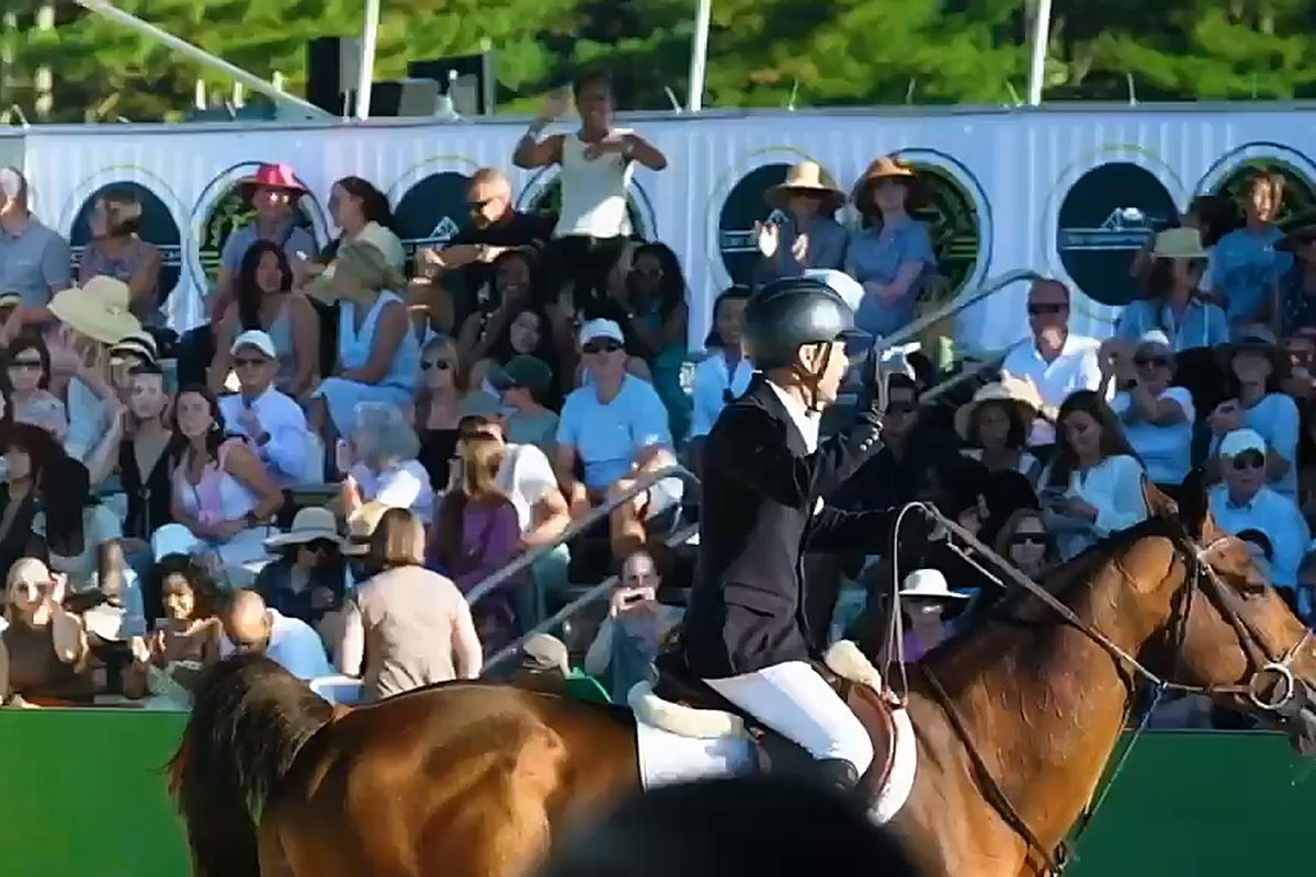 A packed grandstand behind a horse and rider in Trelawny Stadium